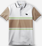 Classic Stripe Polo