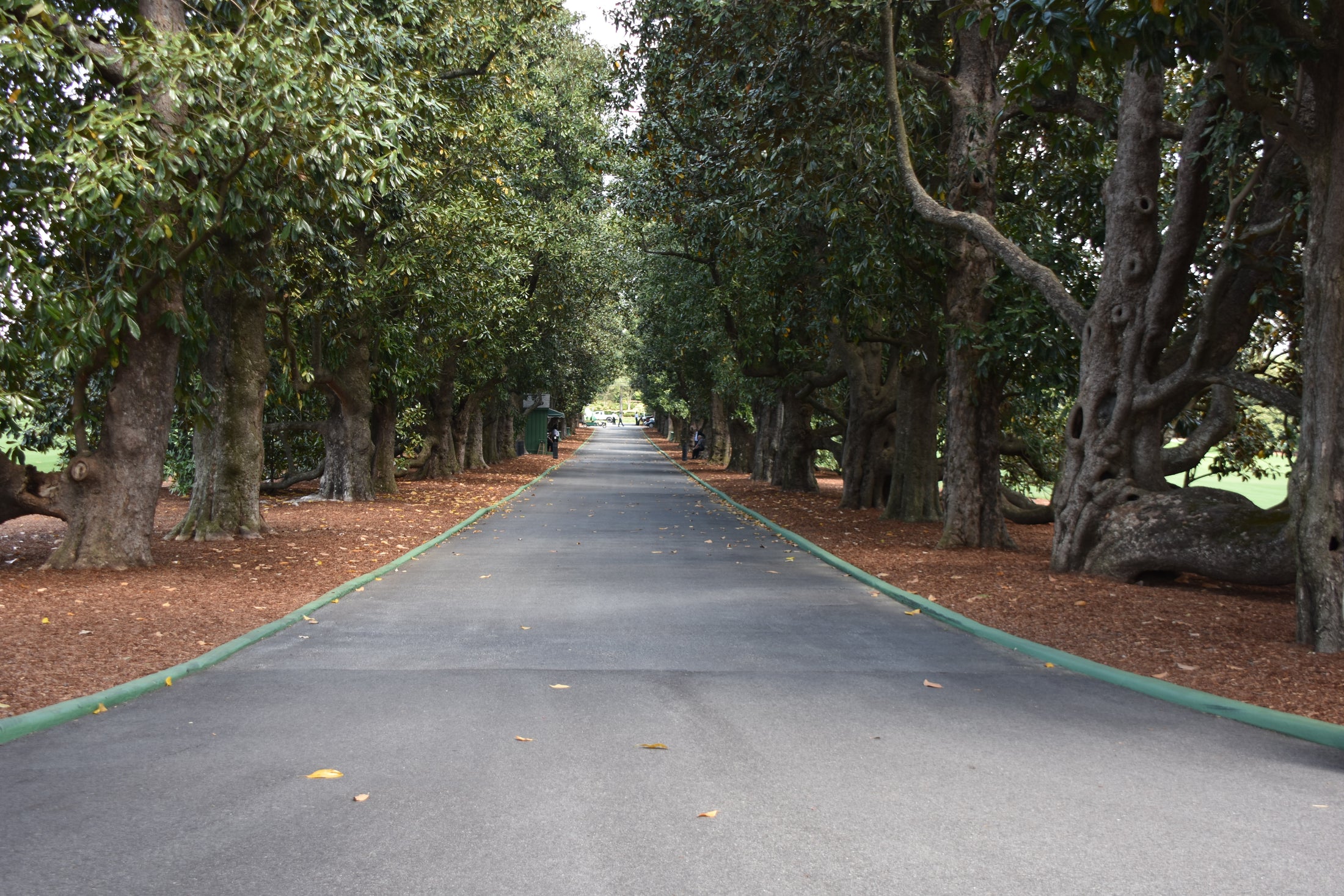 Masters Week Is Almost Here