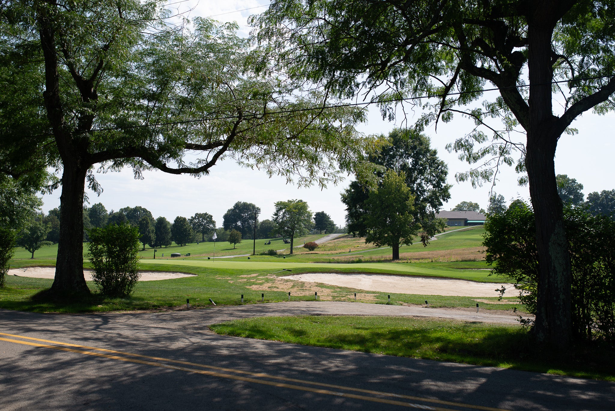 White Hippo Golf on the course