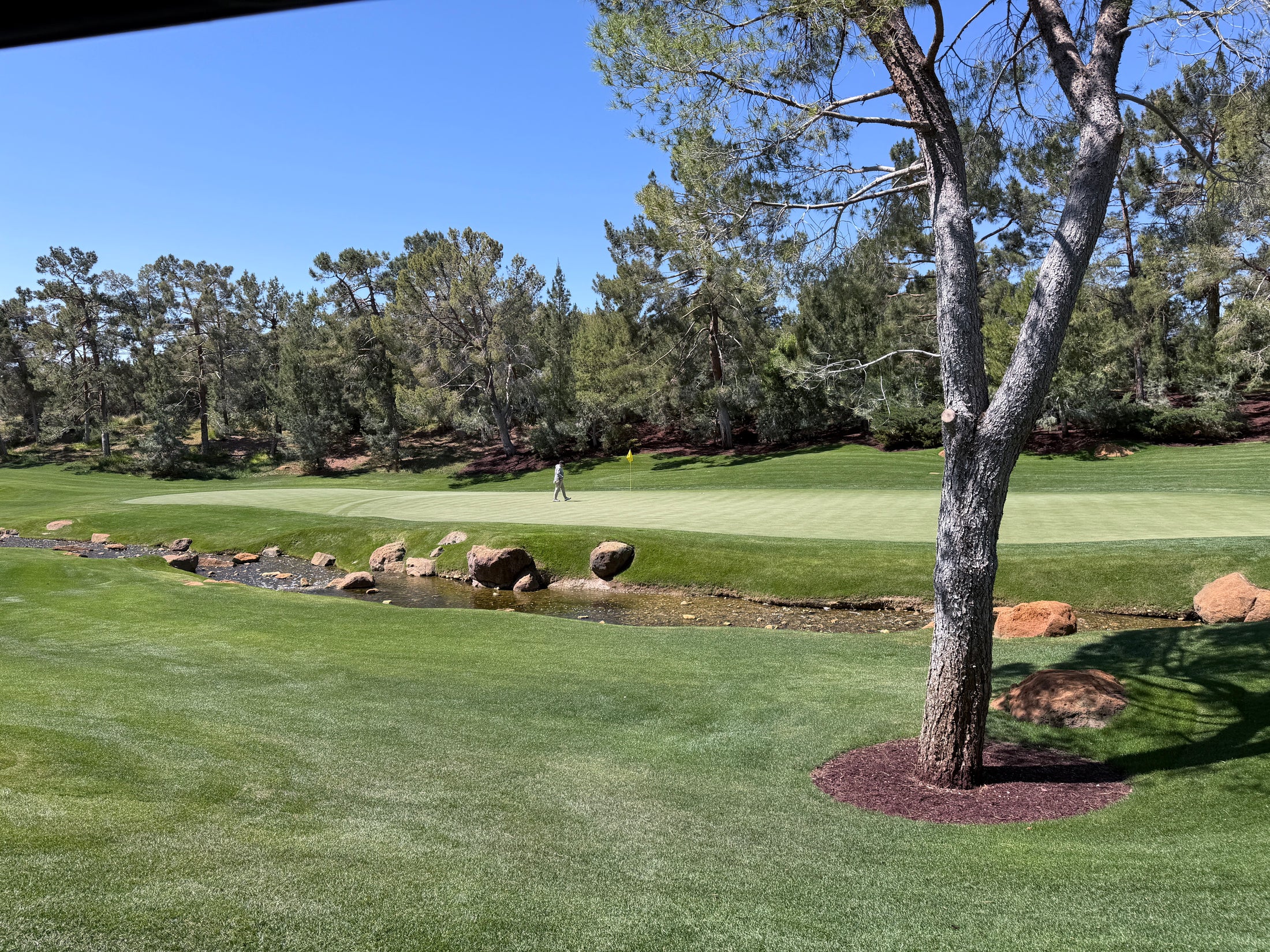 Shadow Creek